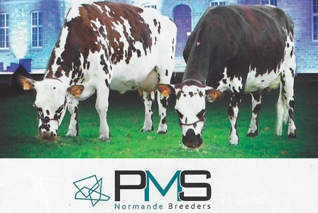 PMS-2016-web