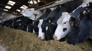 pour-remy-cherel-la-prise-en-compte-du-cycle-animal-sol-plante-et-environnement-est-la-base-d-un-ecosysteme-qui-au-final-permettra-a-tout-l-elevage-de-fonctionner-effic